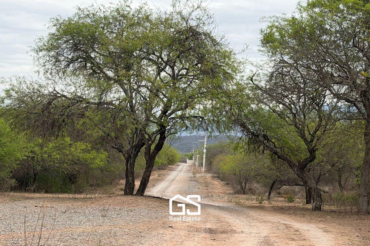 Foto de Terreno en Dique Cabra Corral, imagen 5