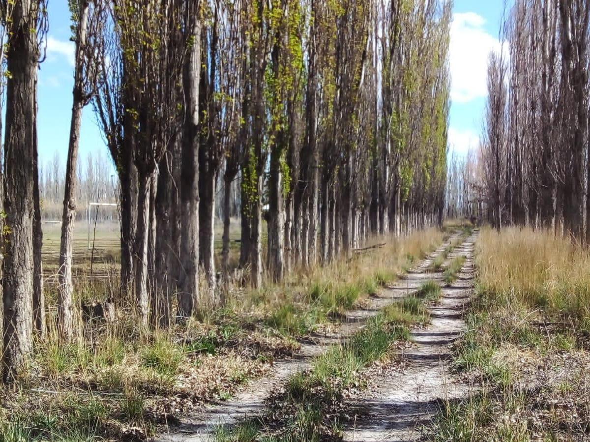 Terreno en Venta Zona Parque Industrial Plottier 3