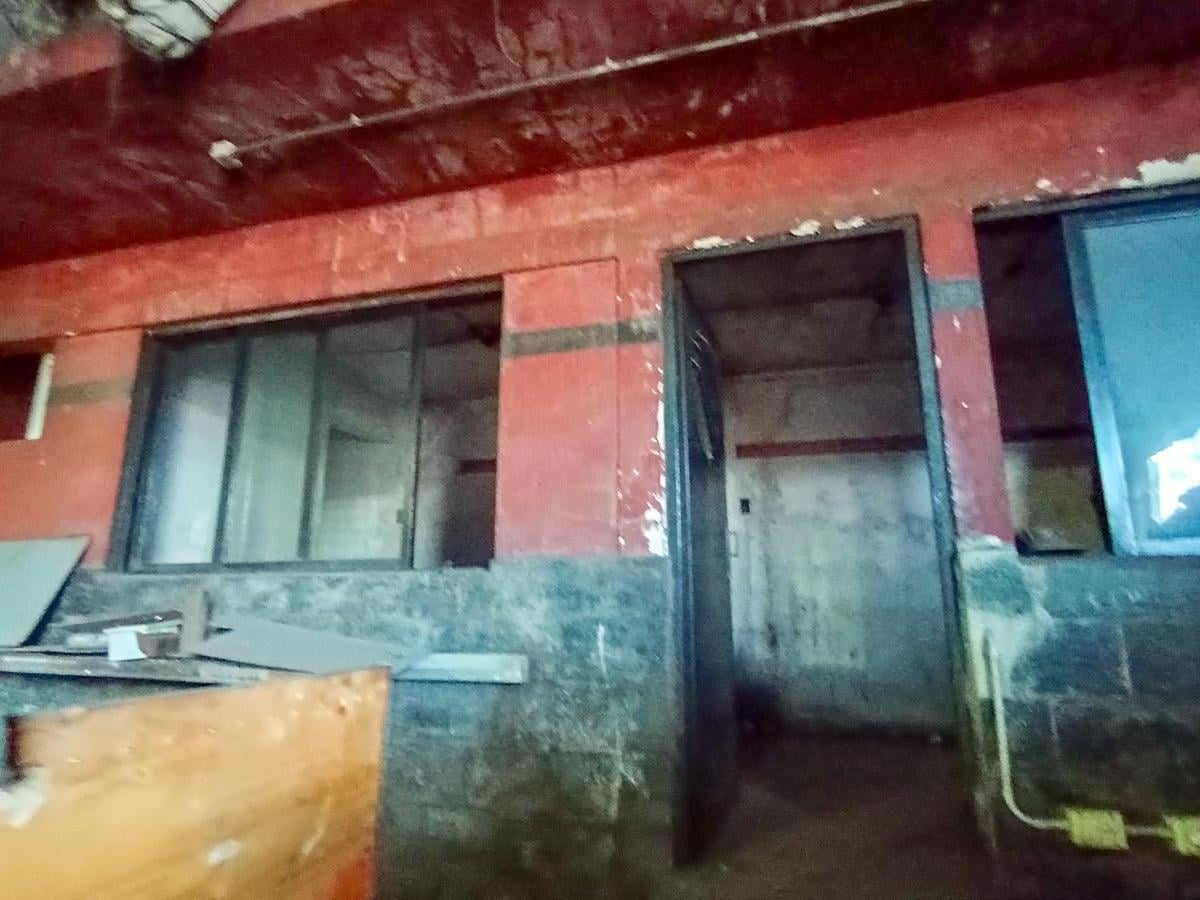Foto de Venta Galpón en Bernal Oeste 800m2 sobre Av. Tomas Flores, imagen 4