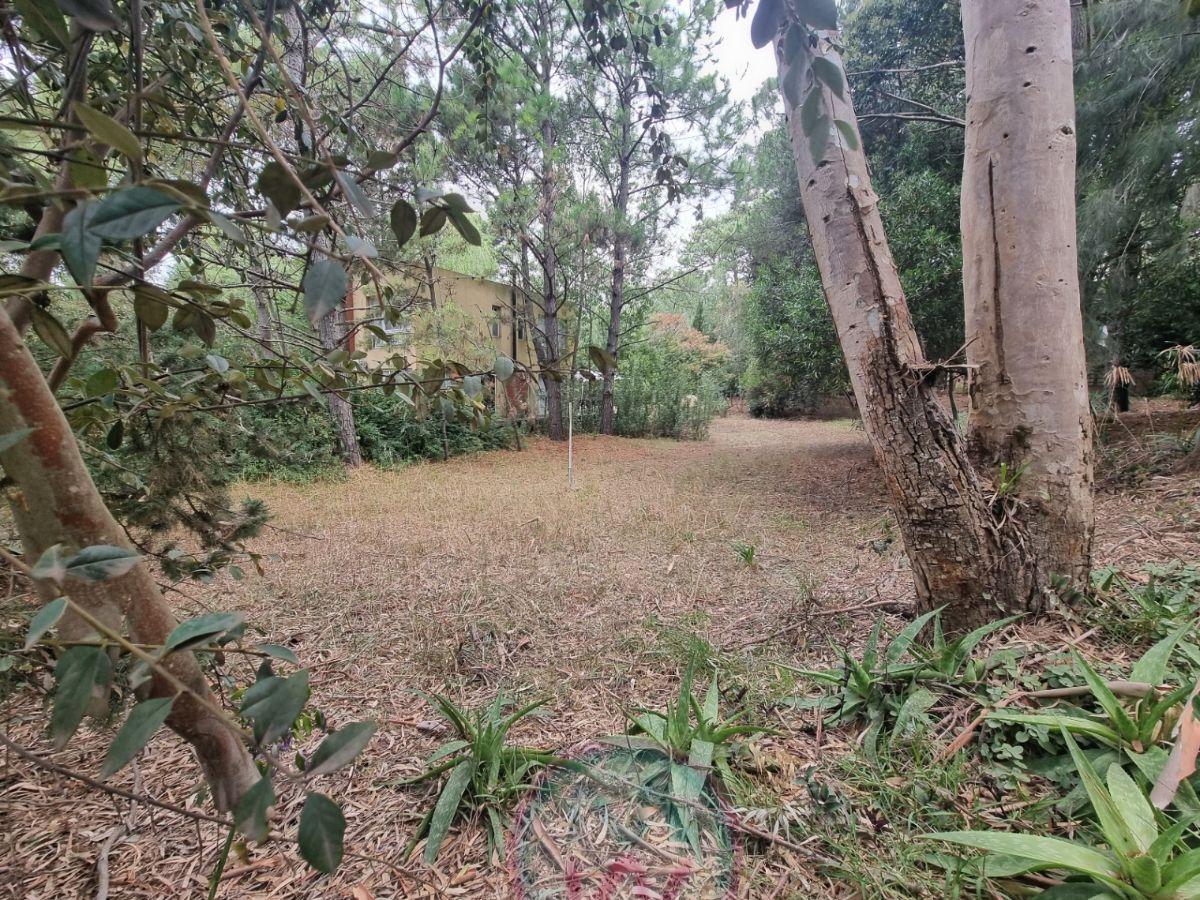 Foto de Lote en venta de 675m2 ubicado en Las Gaviotas, imagen 4