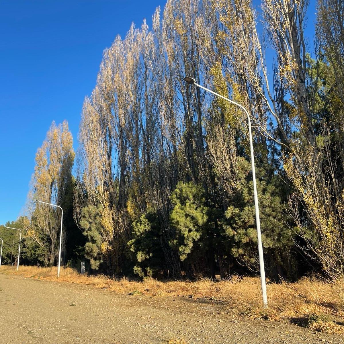 Lote de 2.500 m² en Av Peru 1