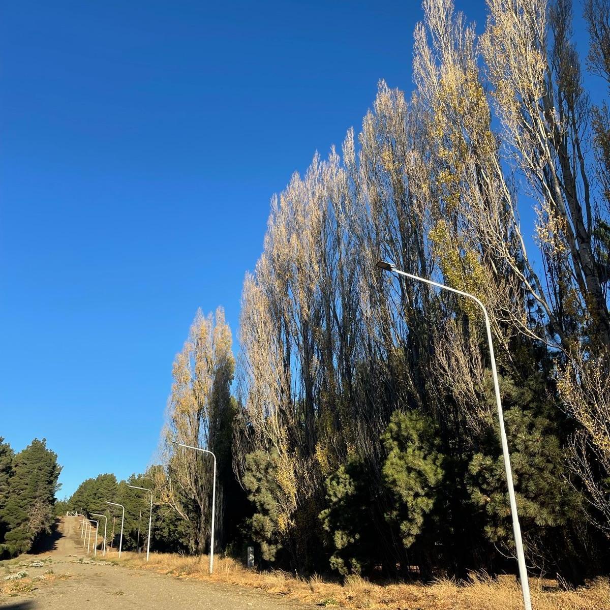 Lote de 2.500 m² en Av Peru 2
