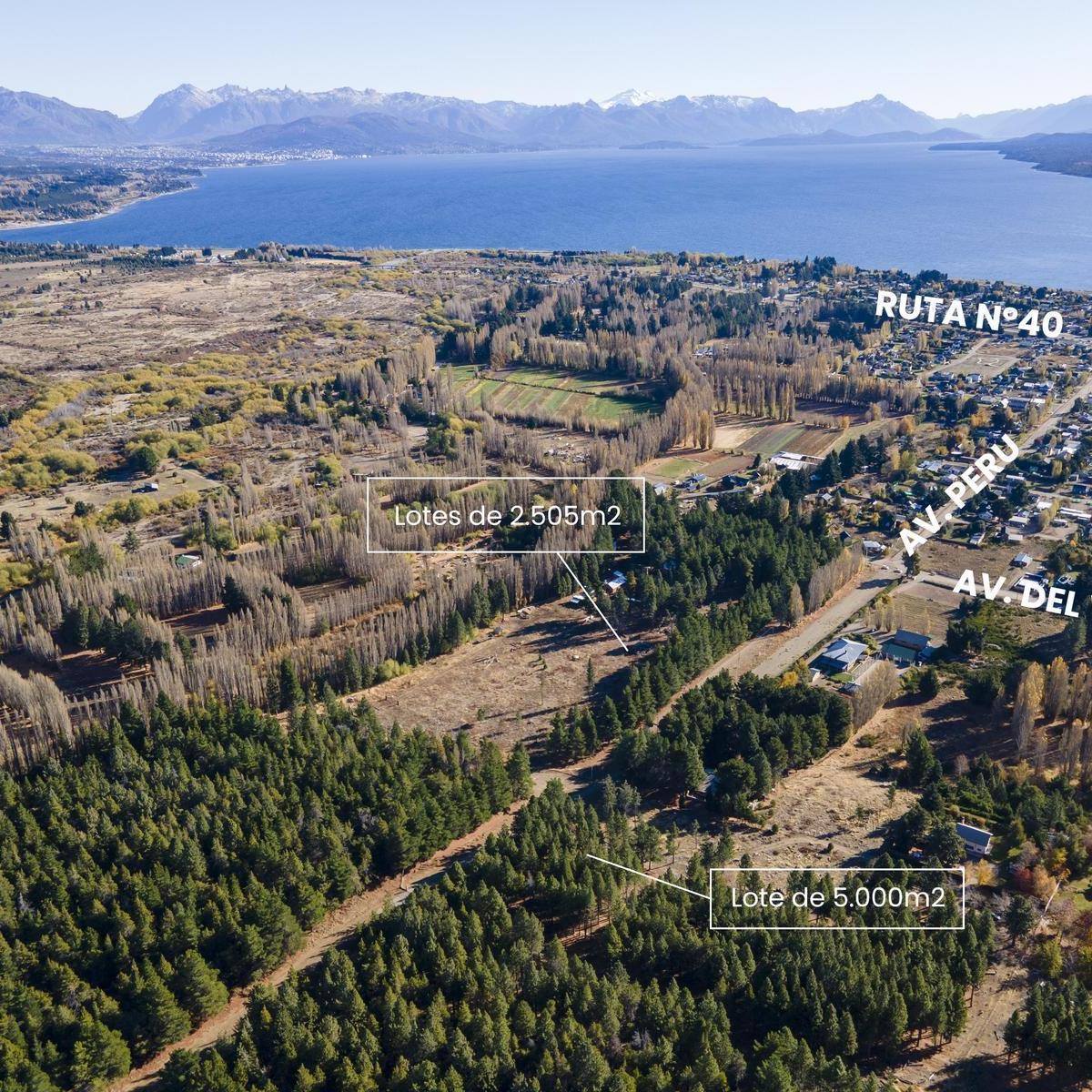 Lote de 2.500 m² en Av Peru 2