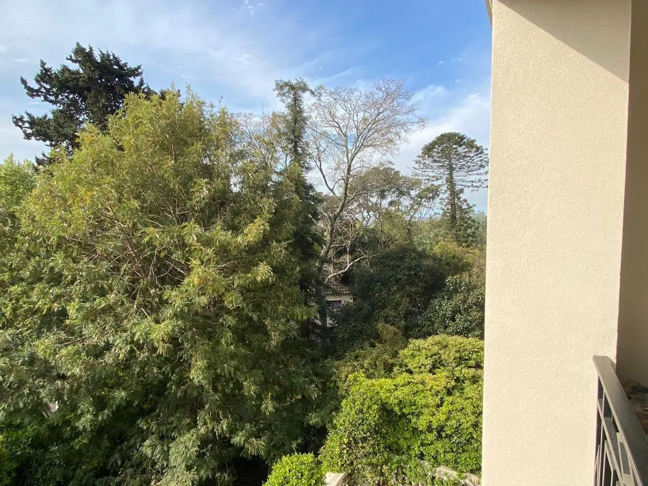 Departamento en Alquiler en Acassuso, San Isidro, G.B.A. Zona Norte 2