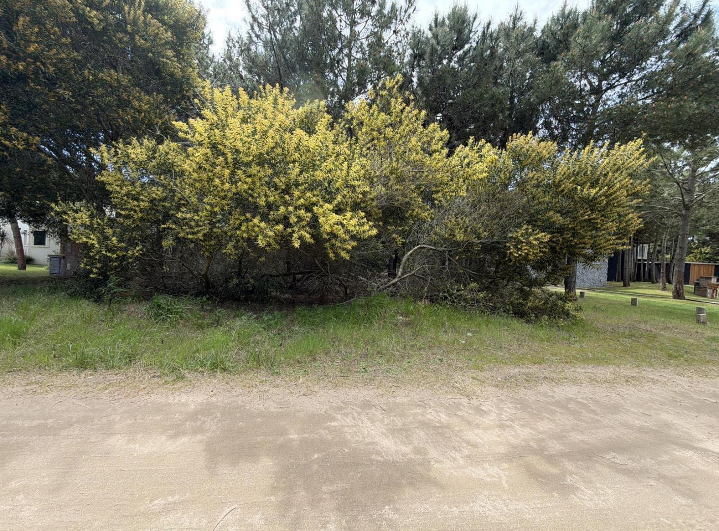 Foto de Terreno en Costa Esmeralda, imagen 3