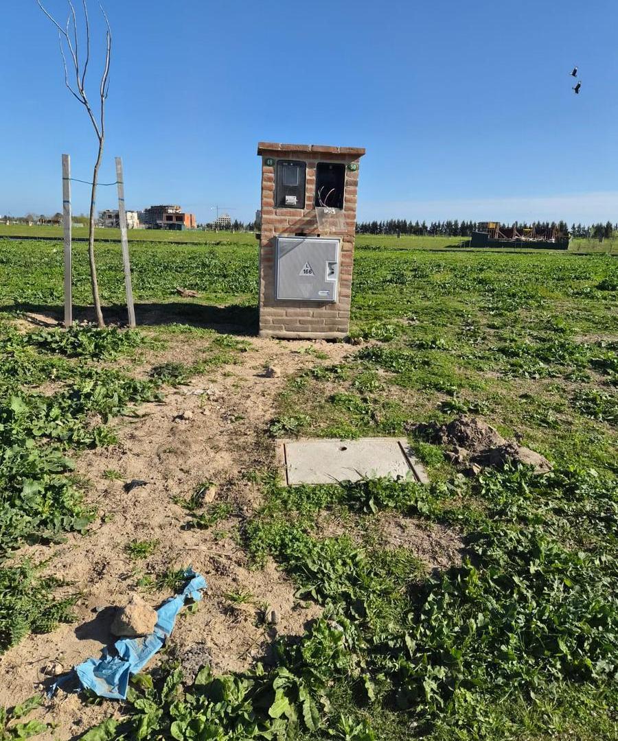 Foto de Lote en venta en Barrio Silvestre, Nordelta, imagen 3