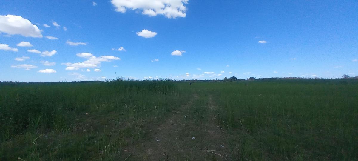 Últimos Tres Lotes a La Venta Zona El Sauce 3