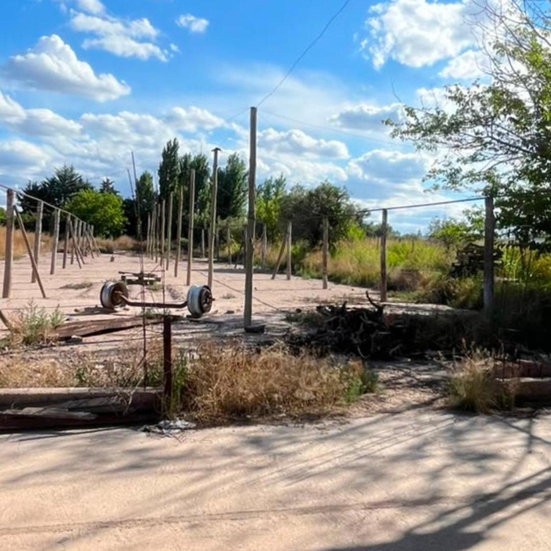 Foto de Galpon con lote 5000 m² en venta y alquiler en Elpidio gonzalez, Gllen., imagen 4