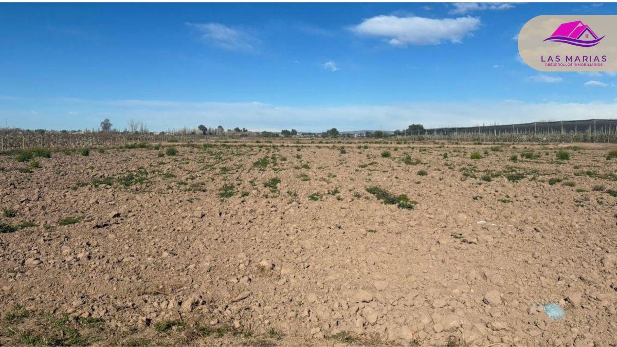 Foto de Lote industrial 27.000m2, imagen 2