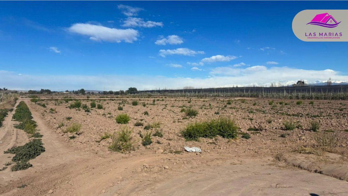 Foto de Lote industrial 27.000m2, imagen 3