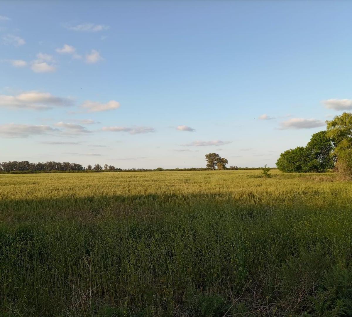 Campo en Venta en Monte Vera - Santa Fe 5