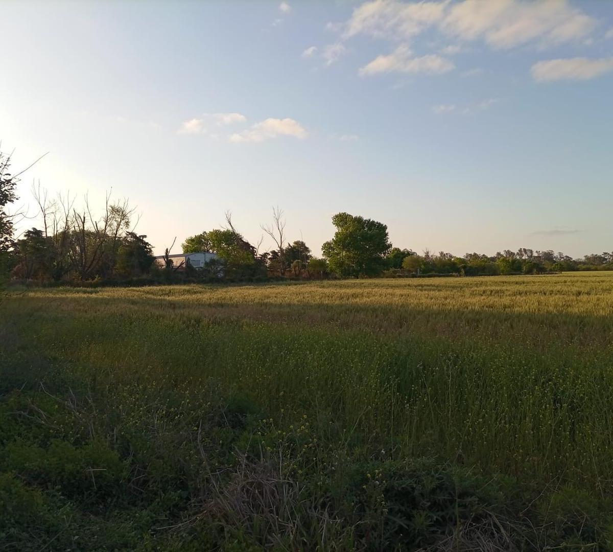 Campo en Venta en Monte Vera - Santa Fe 1