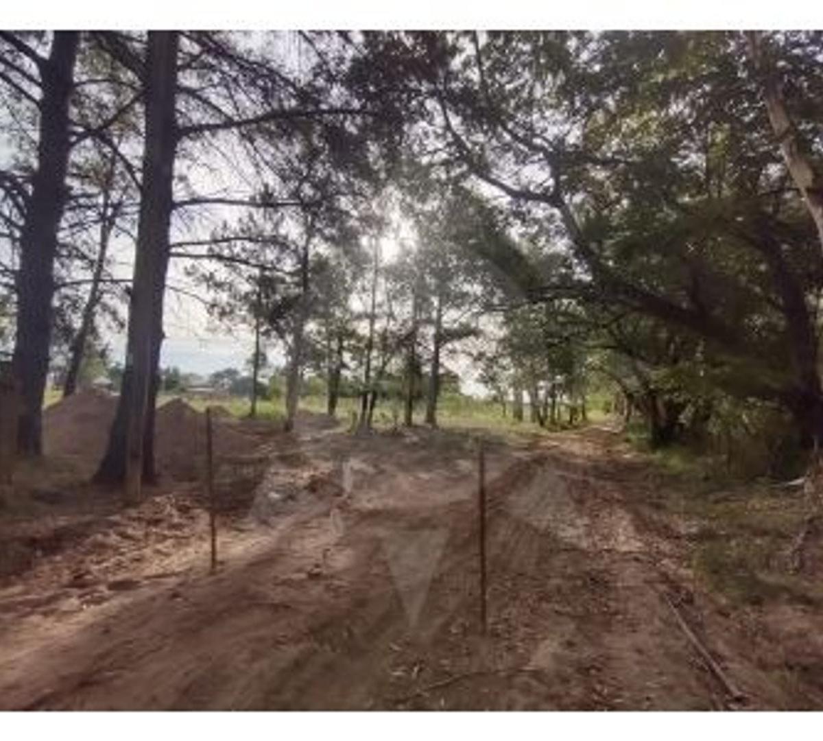 Terrenos en Venta - Ruta 1 - Km 9 - San Jose del Rincon 1