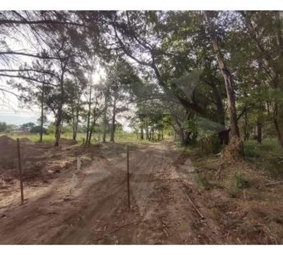 Terrenos en Venta - Ruta 1 - Km 9 - San Jose del Rincon 4