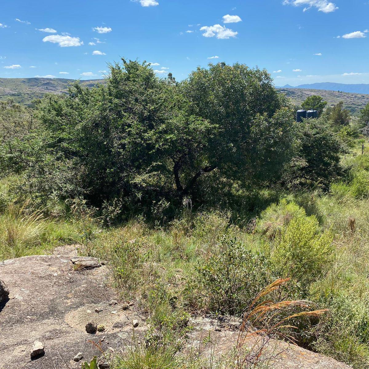 Se Vende Terreno en Tanti Lomas de 800 m² 4