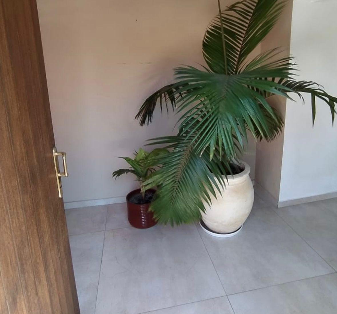 Se Vende Propiedad de Dos Dorm. Mas Departamento y Local en Barrio Jose Muñoz 3