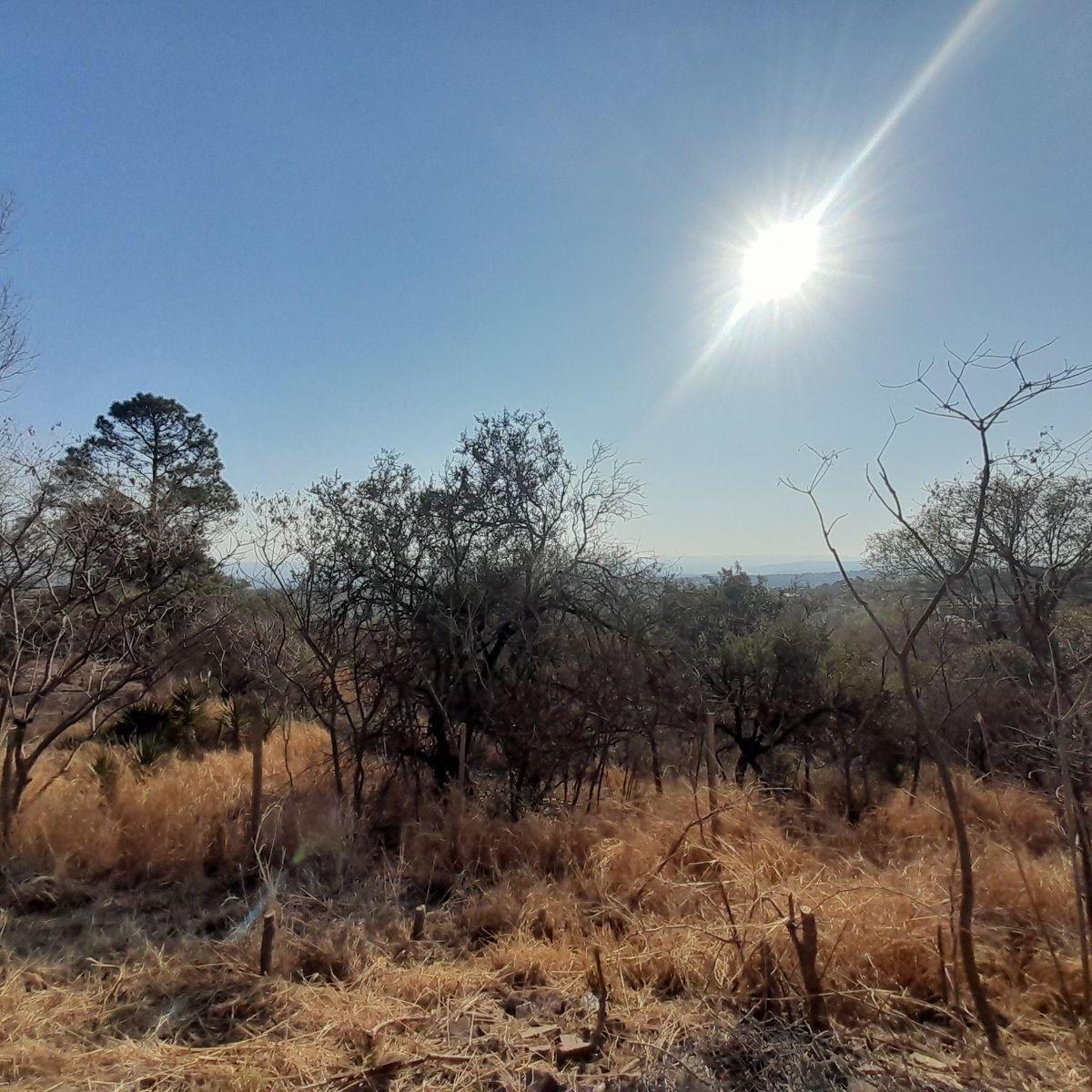 Terreno - Estancia Vieja 4