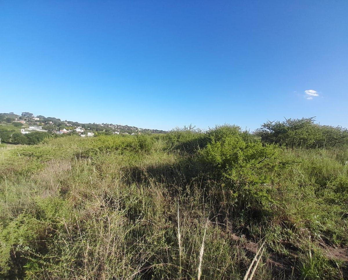 Se Vende Terreno en Villa Santa Cruz del Lago 4