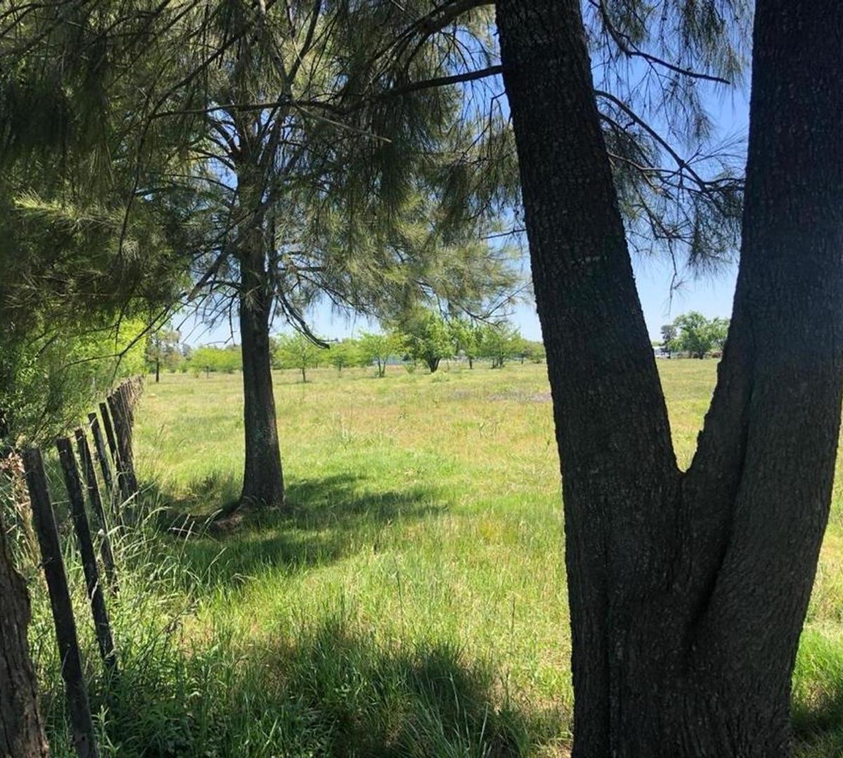 Chacras en Venta Mercedes 1 Hectarea a m de La Ruta 41 2