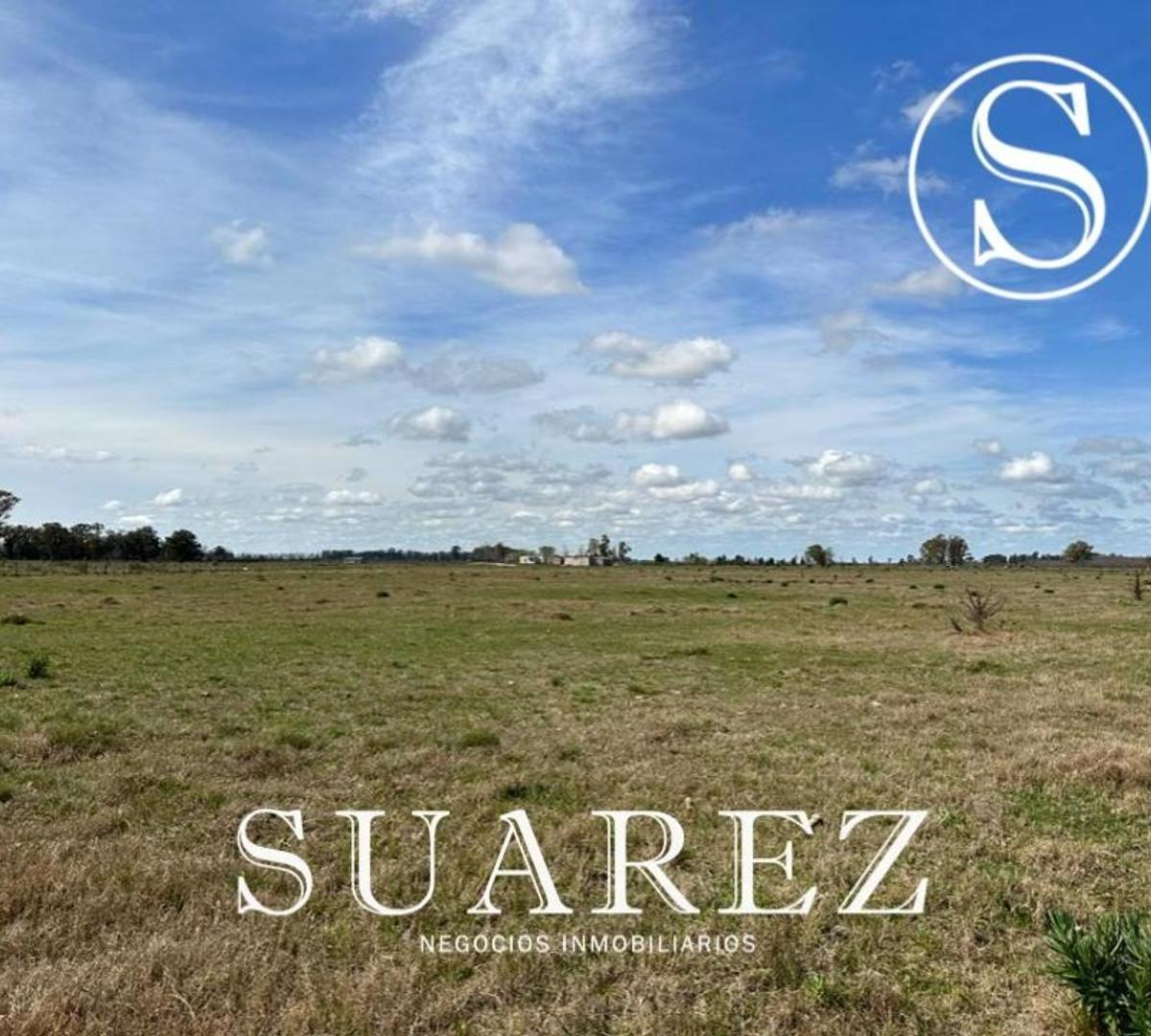 Campo en Venta, Chacra Don Luis, Mercedes 3