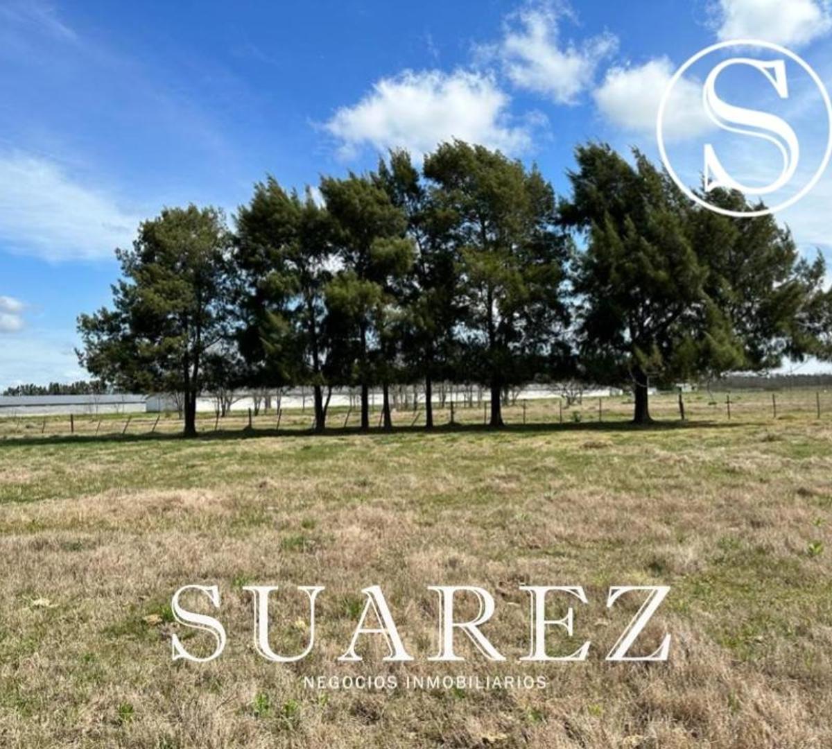Campo en Venta, Chacra Don Luis, Mercedes 5