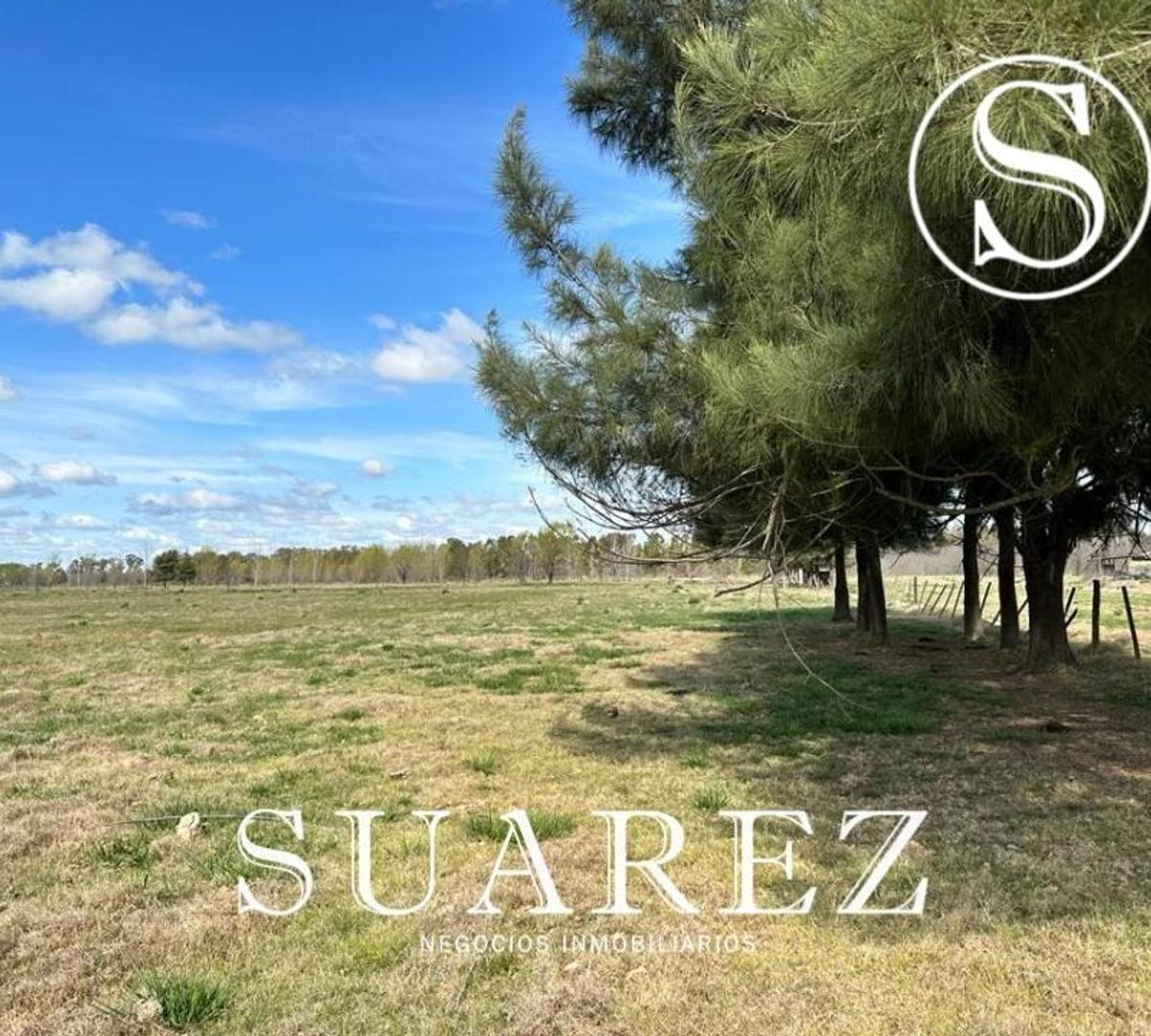 Campo en Venta, Chacra Don Luis, Mercedes 4