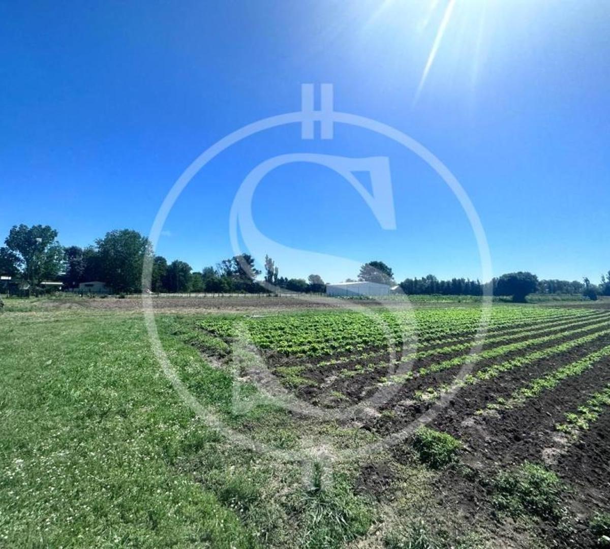 Campo Barrio Los Troncos 1.5 Ha Mercedes 3