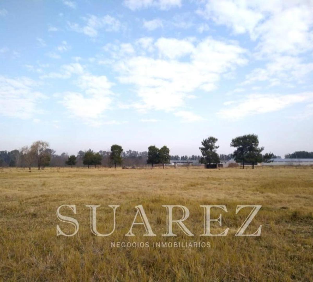 Campo 1 Hectarea Mercedes Financiado con Escritura 4