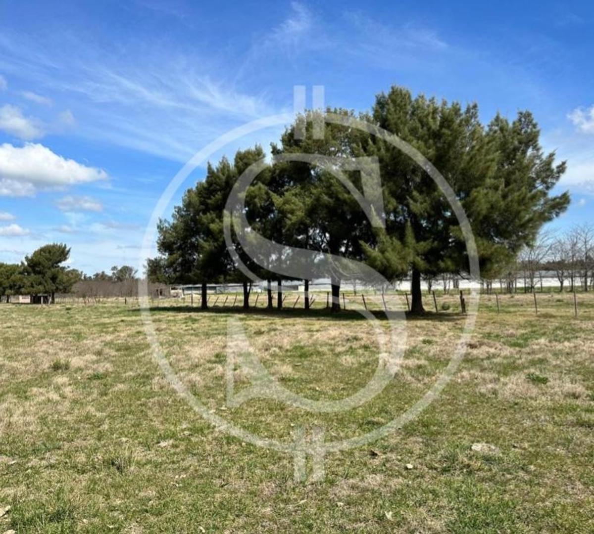 Campo 1 Hectarea Mercedes Financiado con Escritura 3