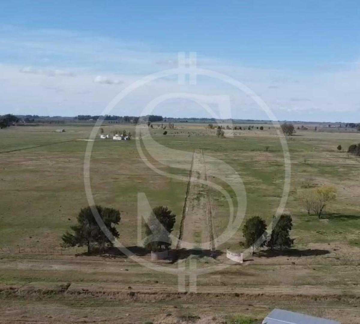Chacra de 1 Hectarea Cercano Pueblo Mercedes Financiado 5