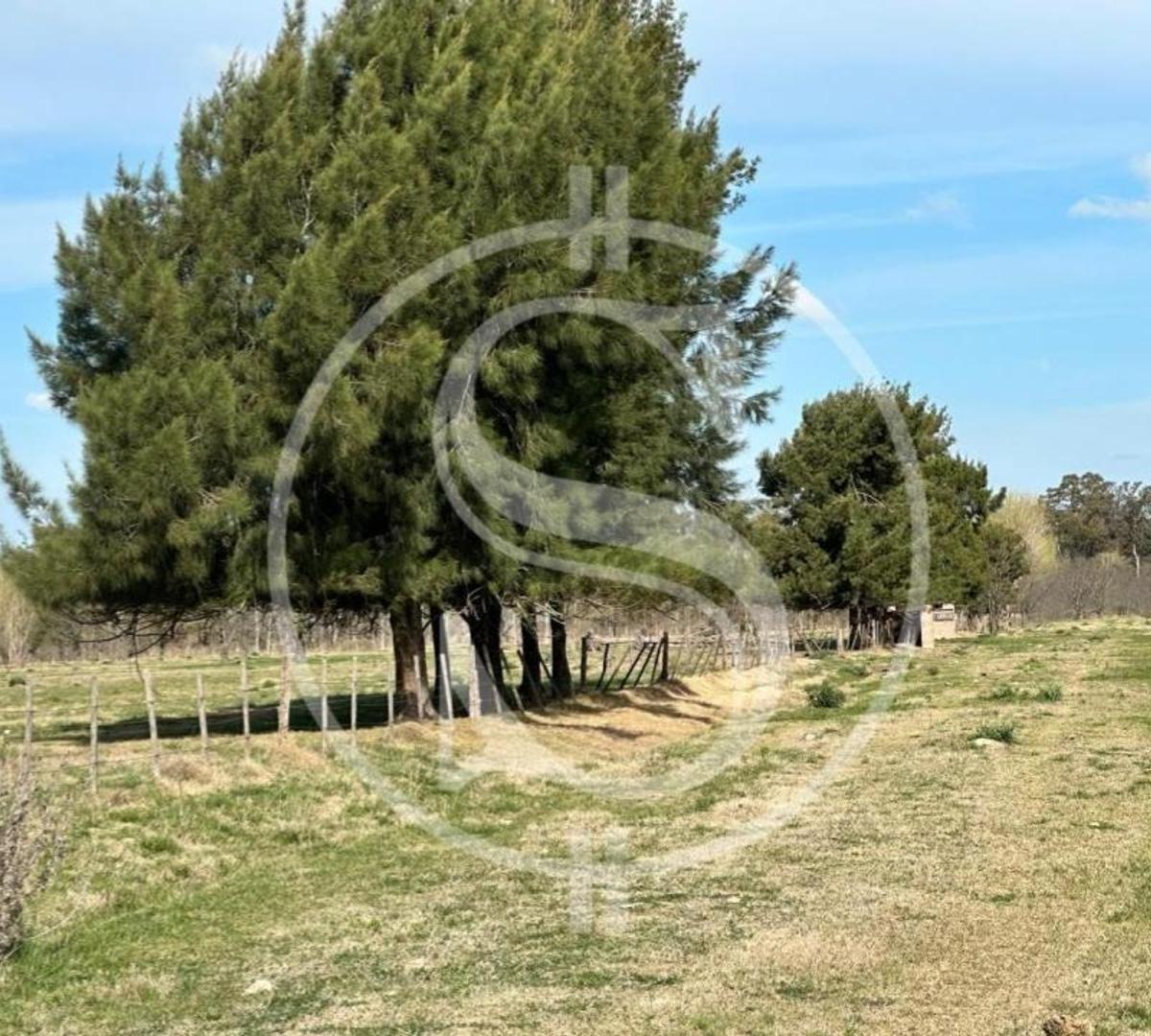 Chacra de 1 Hectarea Cercano Pueblo Mercedes Financiado 3