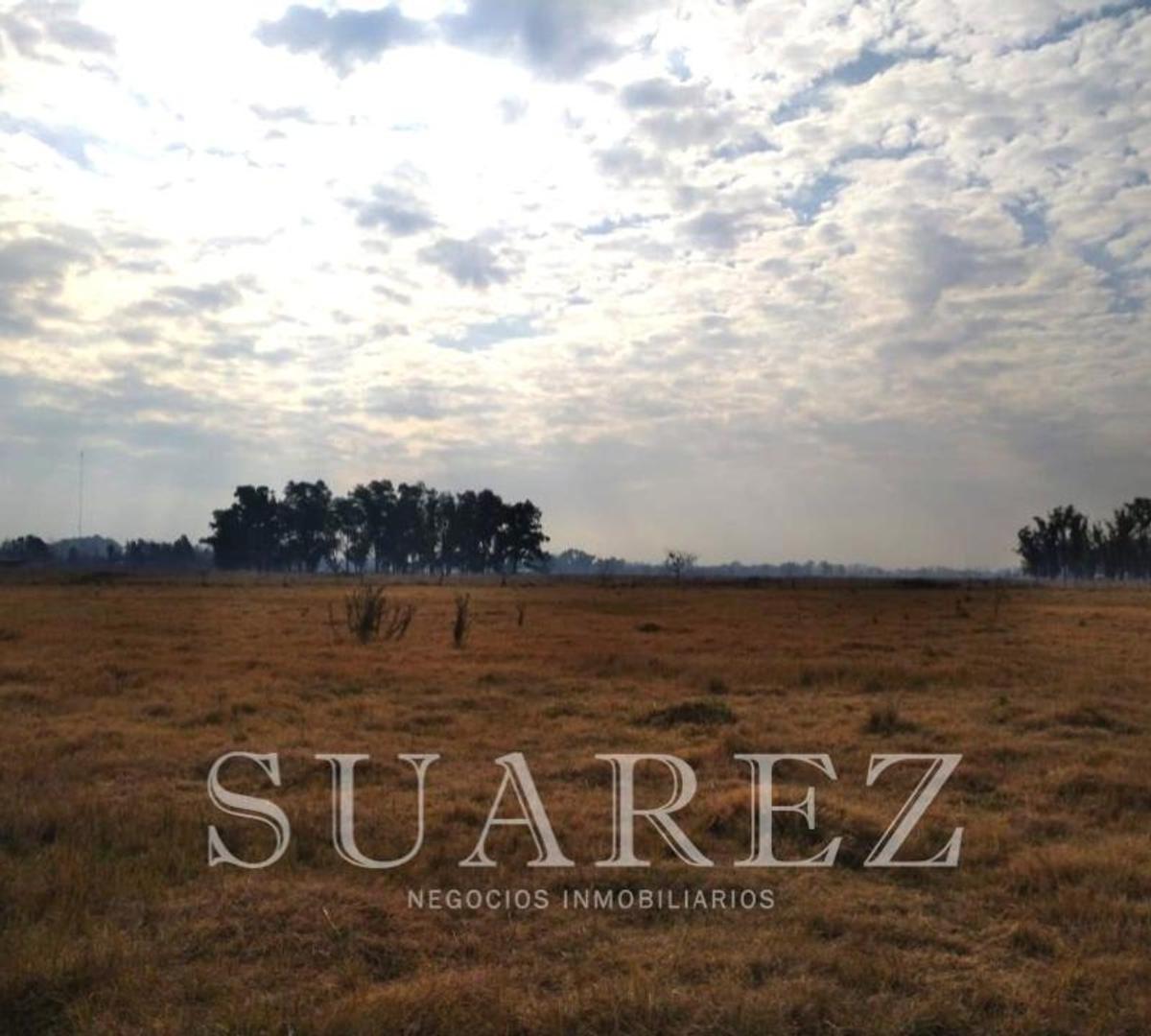 Chacra de 1 Hectarea Cercano Pueblo Mercedes Financiado 1