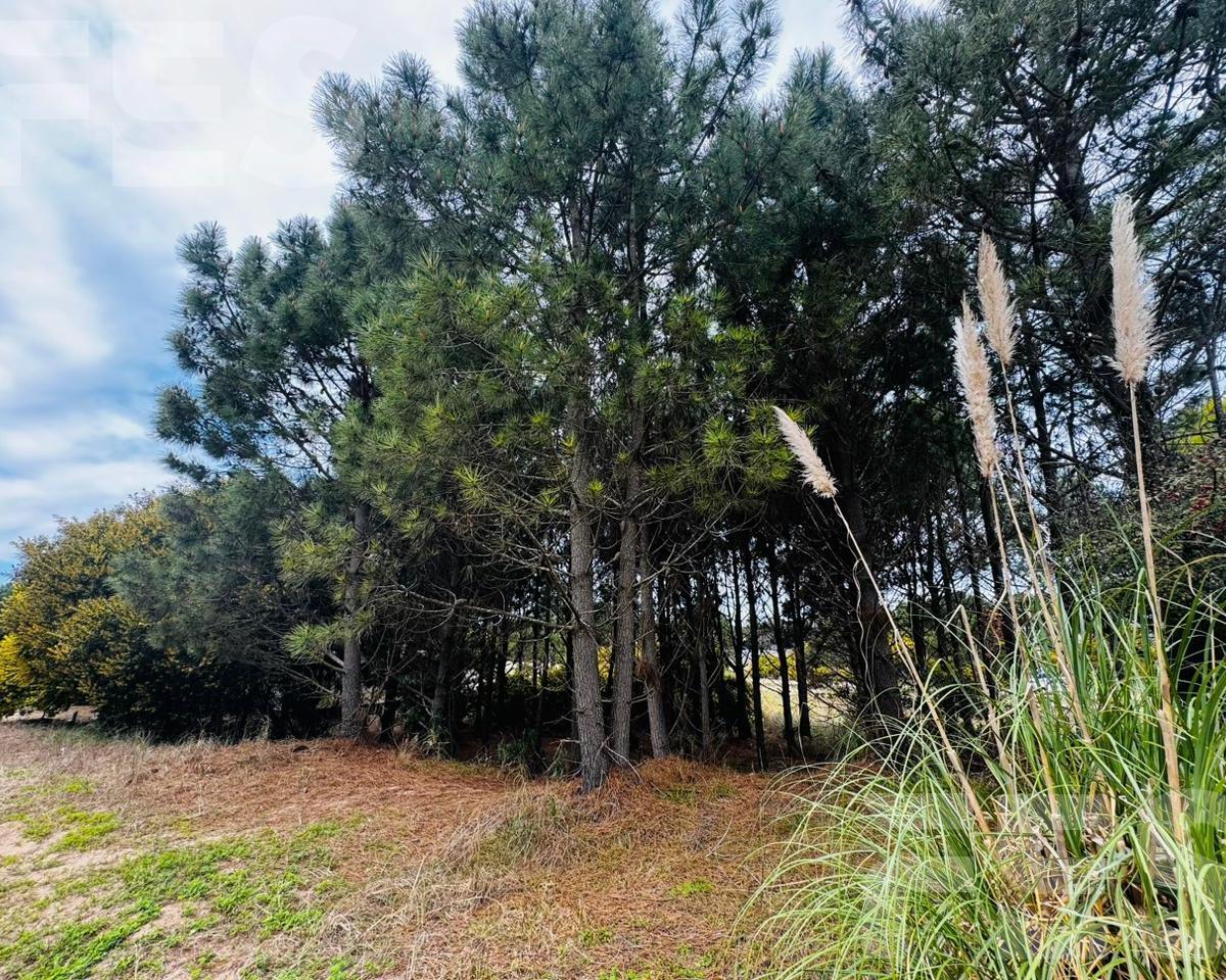 Terreno/ Lote en Venta en Barrio Costa Esmeralda Residencial I 4