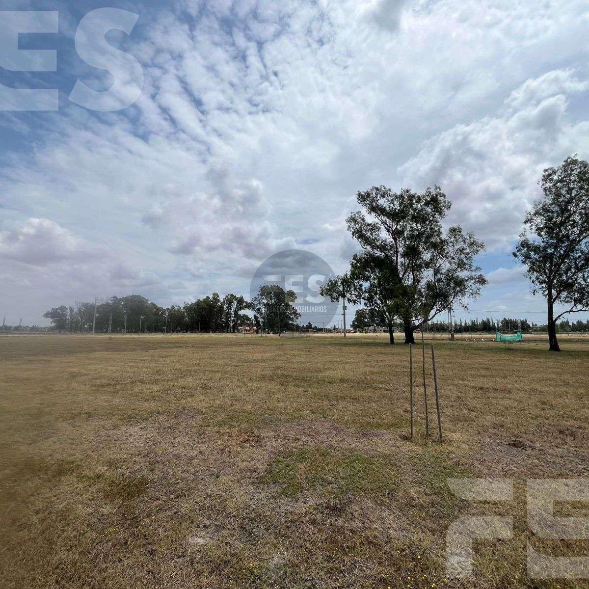 Foto de VENTA LOTE FINCAS DE SAN VICENTE JOVEN - FINANCIACIÓN, imagen 3
