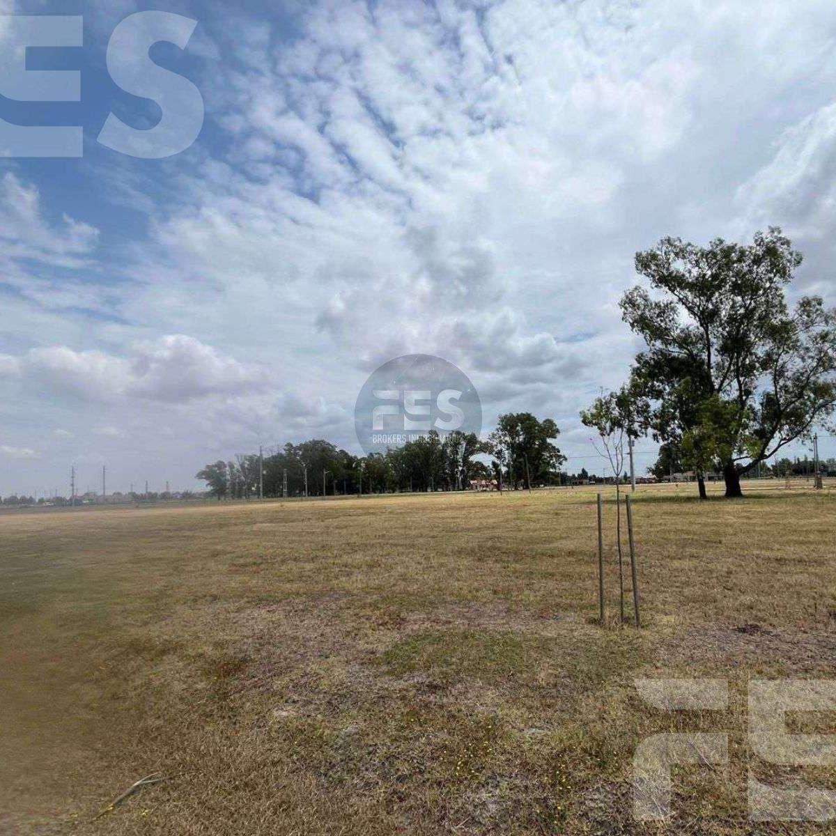 Foto de VENTA LOTE FINCAS DE SAN VICENTE JOVEN - FINANCIACIÓN, imagen 4