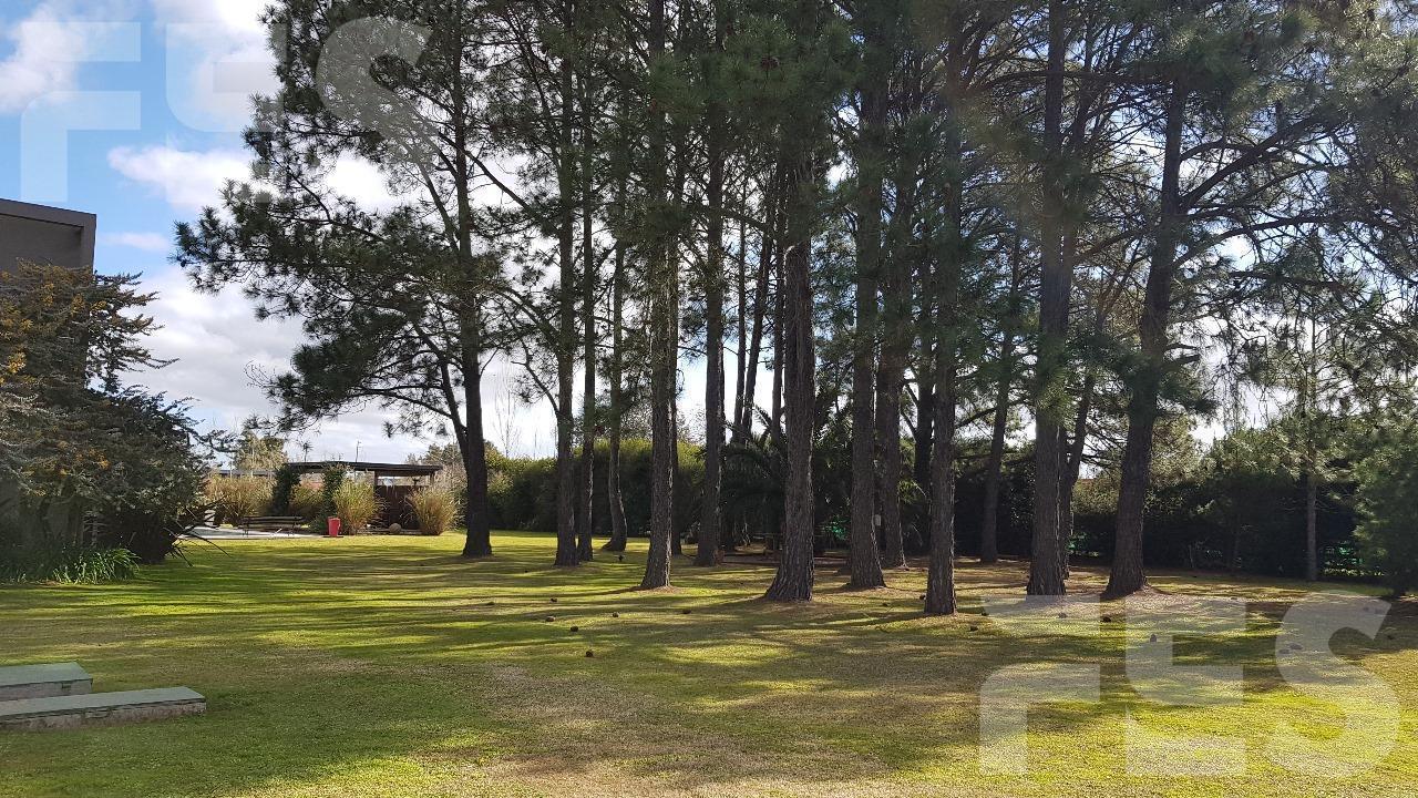Foto de CASA EN VENTA APTO CRÉDITO EN FINCAS DE SAN VICENTE ESPECTACULAR PARQUE, imagen 2