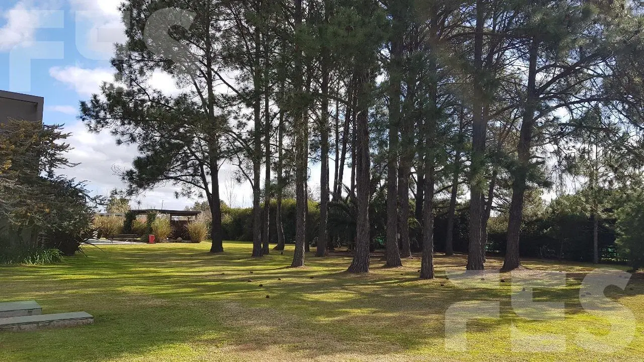 CASA EN VENTA APTO CRÉDITO EN FINCAS DE SAN VICENTE ESPECTACULAR PARQUE CON BOSQUE PROPIO 2