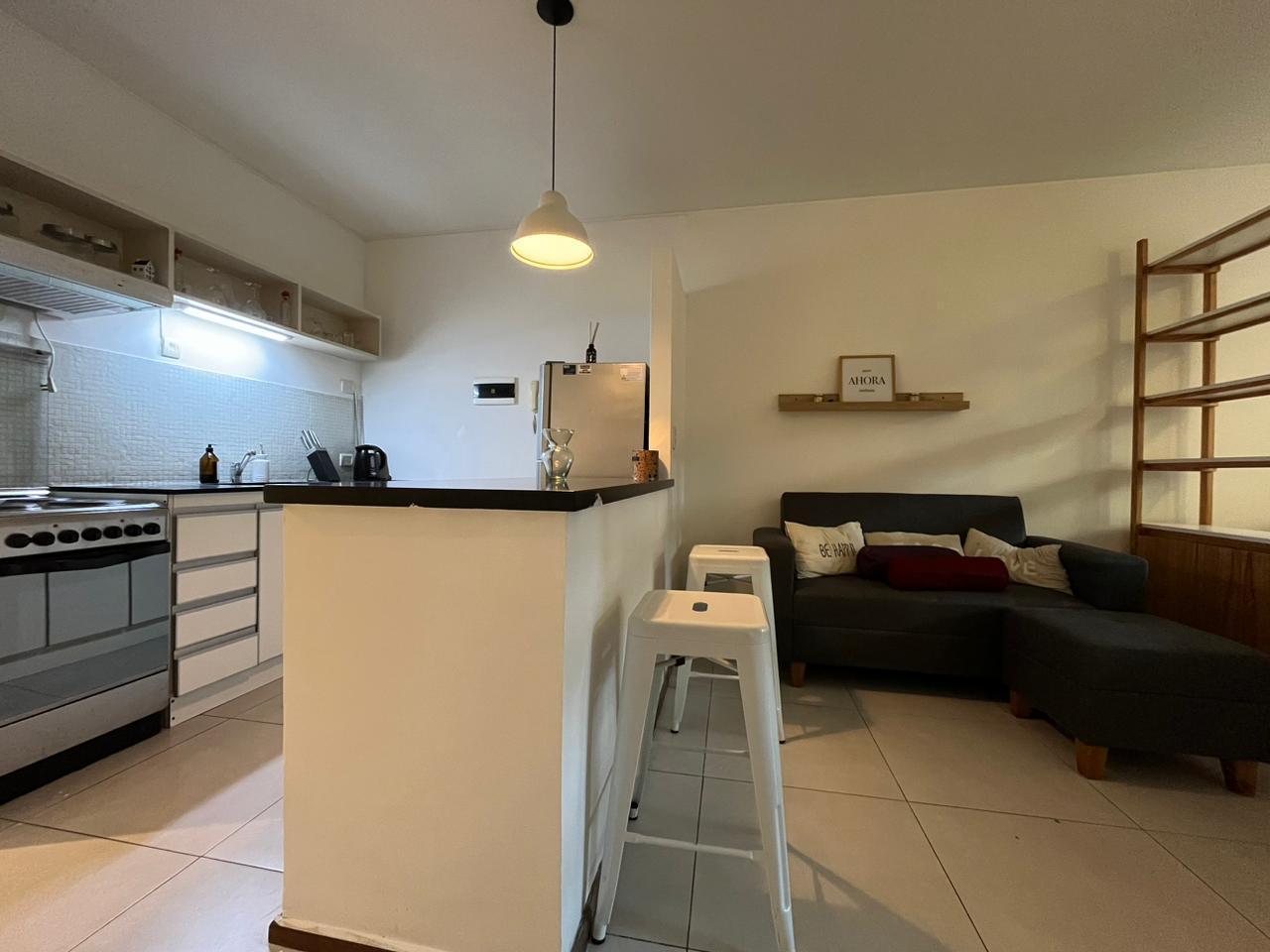 Foto de DEPARTAMENTO MONOAMBIENTE ALQUILER TEMPORARIO PALERMO, imagen 1