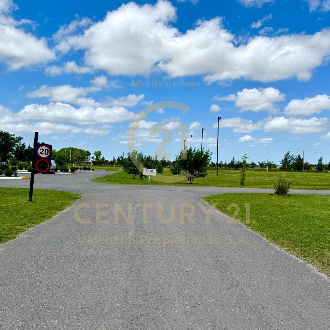 Lote . | Ruta 16