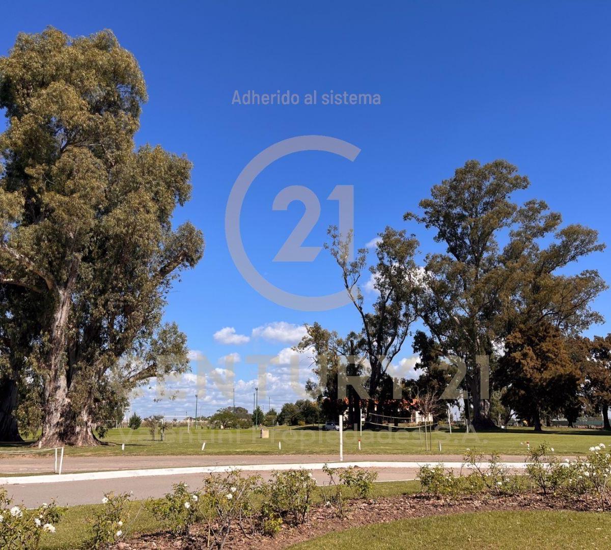 Lote . | Ruta Provincial 58 km 13,5