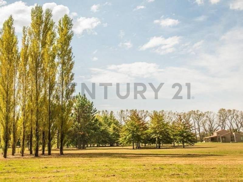 Foto de LOTE A LA LAGUNA EN VENTA EN BARRIO VILLA MARIA - LOS SILOS, imagen 2