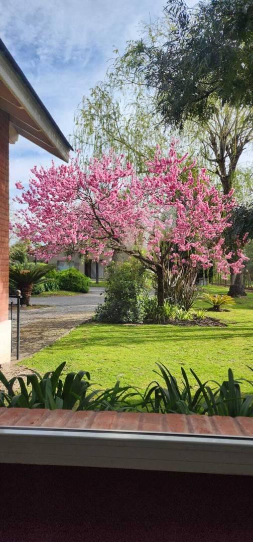 Foto de VENTA CASA BARRIO EL ROCIO - APTA CREDITO, imagen 4