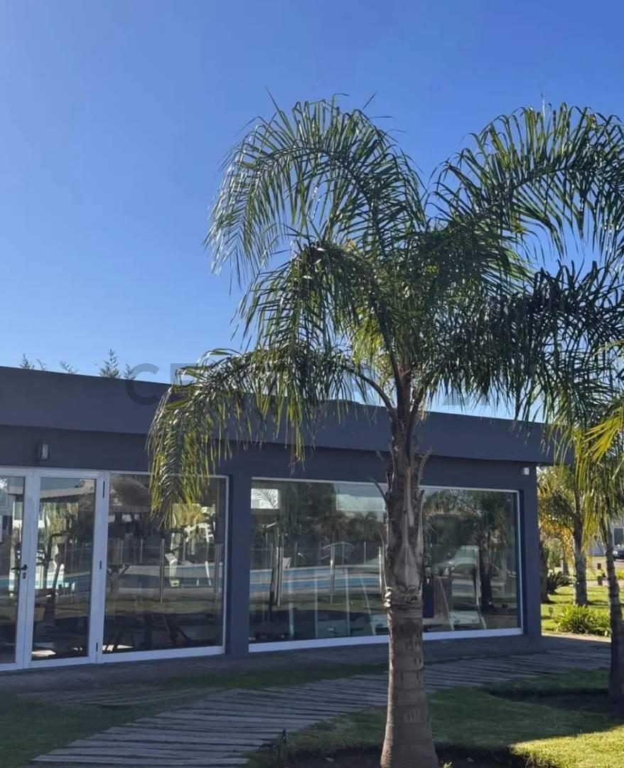 Foto de VENTA DE LOTE - LAGOS DE CANNING I, imagen 4