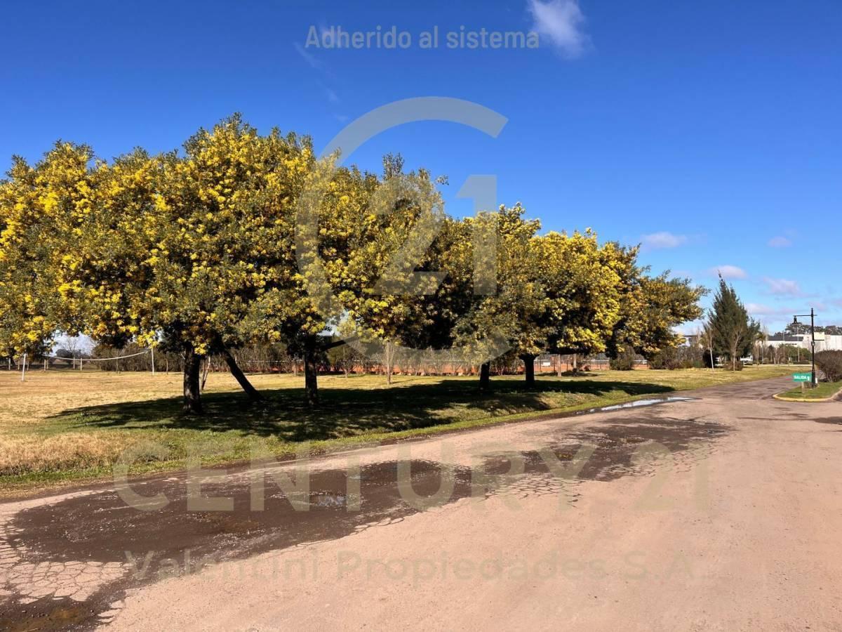 Foto de Lote en venta, imagen 1