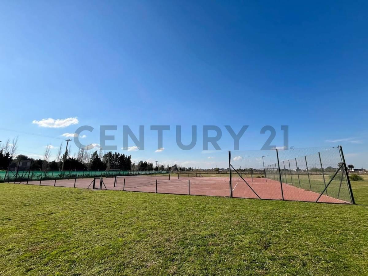Foto de Lote en venta, imagen 5