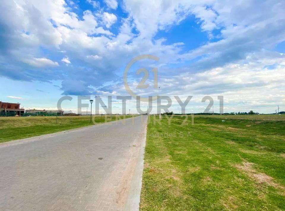Foto de Lote en venta, imagen 4