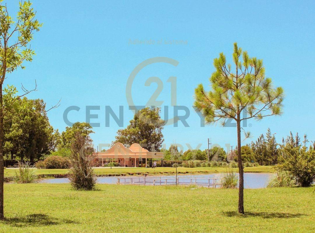 Foto de Lote en venta, imagen 4