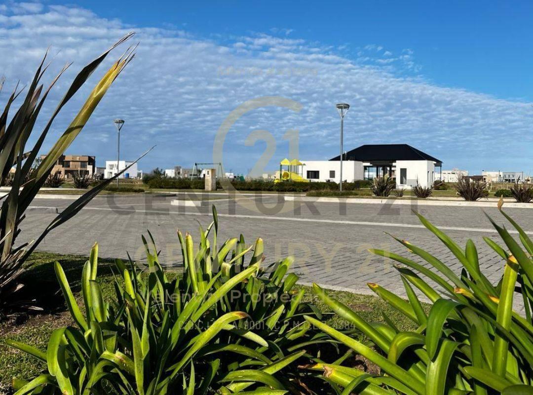 Foto de Lote en venta, imagen 5