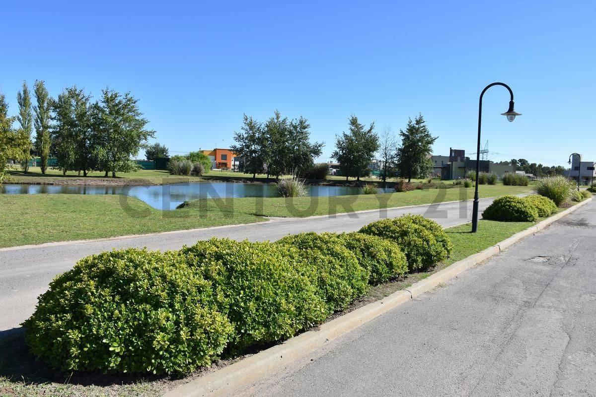 Foto de Lote en venta, imagen 4