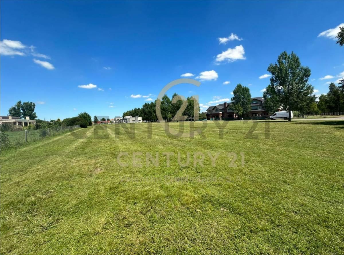 Foto de Lote en venta, imagen 3